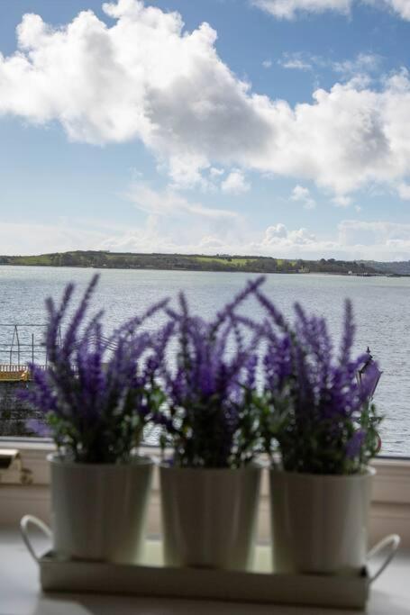 Unit 2 Island View Apartments With Stunning Harbour View Cobh Extérieur photo